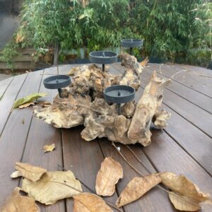 Gyertyatartó gyökér 1-Photoroom