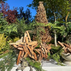 Ramo Stella 6 11-Photoroom